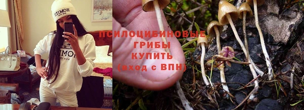 экстази Арсеньев